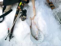 Нерестовый запрет до июня, крайний выезд 23 февраля