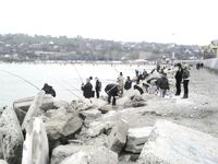 Мариуполь — бычок пошёл, насадки мясо и кальмар