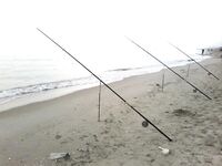 Мариуполь — бычок пошёл, насадки мясо и кальмар