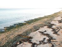 Пересыпь: каналы, спор с «собственником» и улов на булочку