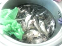 Май-июнь — море и аренда ВДХ, чужой отчёт зацепил