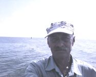 Пеленгас вялый, морской червь дефицит, тарань чистая