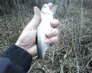 Еланчик с российской стороны, чистые берега и дождь