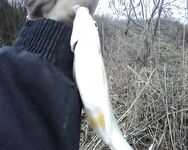 Еланчик с российской стороны, чистые берега и дождь