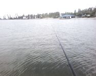 Тарань на Азове у Мариуполя, вечер отработал