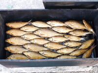 Ейский лиман — вкусно коптить, но лучше вялить