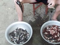 Мысовое, июнь–июль: бычок валом, пеленгас не зашёл