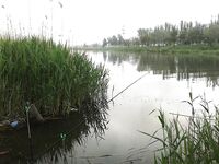 Мариуполь, май — короткая отметка по морю