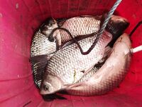 Мариуполь, май — короткая отметка по морю