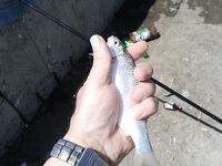 Мариуполь, май — короткая отметка по морю