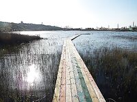 Голубицкая и грязевое озеро — морская рыбалка и где копать нереиса