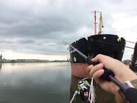 Порт Темрюк: с собой брать снасти и запас по мелочам