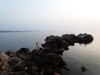 Мысовое у Казантипа: бычок «как из пулемёта» и массовый замор