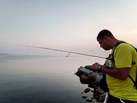 Мысовое у Казантипа: бычок «как из пулемёта» и массовый замор