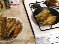 Ейск, 7–15 августа: фидер 60 г, Дунаев «лещ», тарань и карась