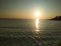 Потрошил сразу на берегу, чайки аплодировали