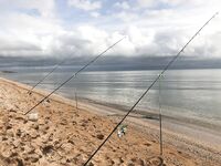 Три недели за пеленгасом: морская рыбалка как поиск