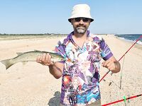 Азовские пеленгасы в Щёлкино: сделали это