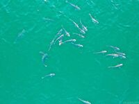 Конец мая на Азове: короткая отметка по сезону