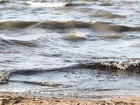 Азов летом, медузы и переезды по берегам