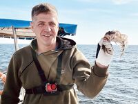 Балтика после выхода: десяток трески и один морской чёрт