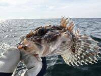 Балтика после выхода: десяток трески и один морской чёрт