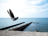 Калининградская область: ультралайт на Преголе и холодное море