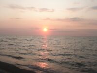 Балтика, канал: пара камбал и короткий отчёт