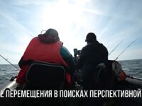 Балтика: треска в открытом море — короткий ролик