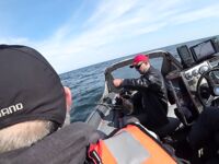 Балтика: треска в открытом море — короткий ролик