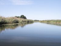 Балтика, морская рыбалка на косе: идея последних дней лета