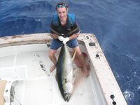 Частный выезд в Блэк-Ривер, Маврикий и сравнение с «фуршетом»