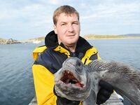 Нордкап в Норвегии — несколько фото после выезда