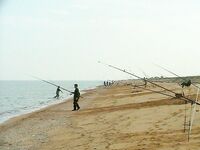 Пеленгас на Арабатской Стрелке — семейный отдых плюс рыбалка