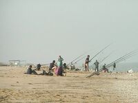 Пеленгас на Арабатской Стрелке — семейный отдых плюс рыбалка