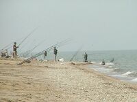 Пеленгас на Арабатской Стрелке — семейный отдых плюс рыбалка