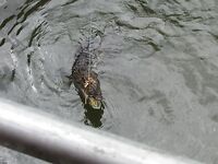 Нячанг: как ловить на пляже и у мостов без троллинга