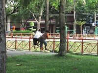 Нячанг: как ловить на пляже и у мостов без троллинга