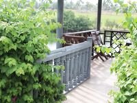 Вьетнам, платный пруд №1 и попытка с фото