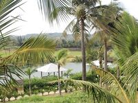 Вьетнам, платный пруд №1 и попытка с фото