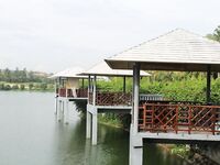 Вьетнам, платный пруд №1 и попытка с фото