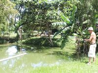 Вьетнамские платники №2: бамбук, пирания и жареная рыба