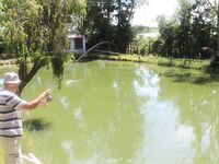 Вьетнамские платники №2: бамбук, пирания и жареная рыба