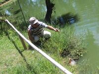 Вьетнамские платники №2: бамбук, пирания и жареная рыба