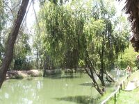 Вьетнамские платники №2: бамбук, пирания и жареная рыба