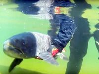 Свободные места на плато Путорана — даты 25.07–01.08