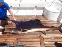 Организация рыбалки в Таиланде и на Сейшелах без телефонов