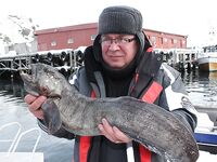 Сёрёйя — север Норвегии, рыбалка во фьордах и в море