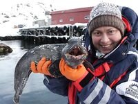 Сёрёйя — север Норвегии, рыбалка во фьордах и в море