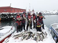 Сёрёйя — север Норвегии, рыбалка во фьордах и в море